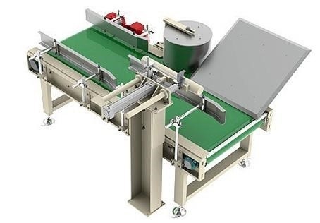 Case Conveyor Reject System Station Belt Weight Sorter Auxiliary Equipment
